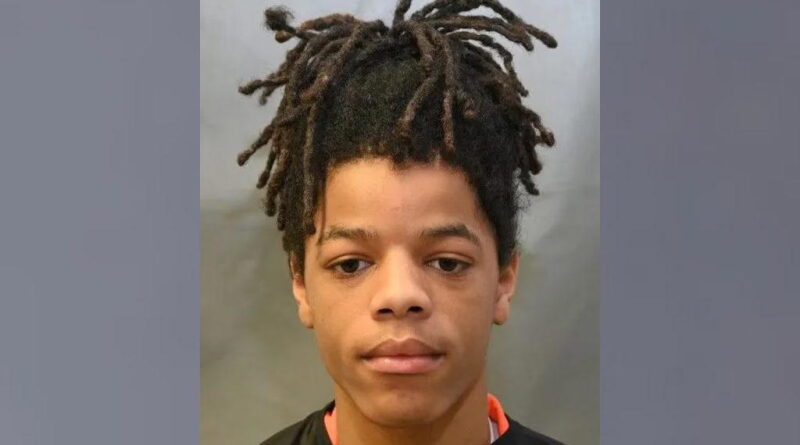 15-yr-old boy sentenced to 100 years in prison for killing woman in US