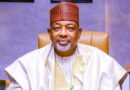 Food Production: Minister Kyari calls for investment in youths
