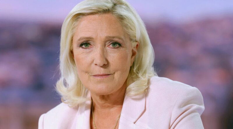 Le Pen hits campaign trail morning after announcing run