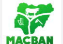 Insecurity has overtaken farmer-herder crisis in Benue South – MACBAN