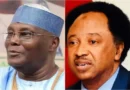 Atiku’s aide tackles Shehu Sani for condemning US lobbying against Tinubu