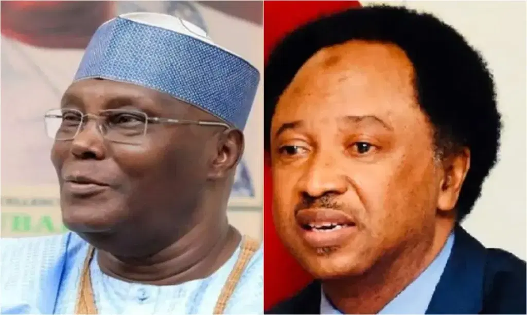 Atiku’s aide tackles Shehu Sani for condemning US lobbying against Tinubu