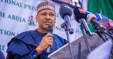 Tinubu’s reforms repositioning Nigeria for long-term prosperity – Information Minister