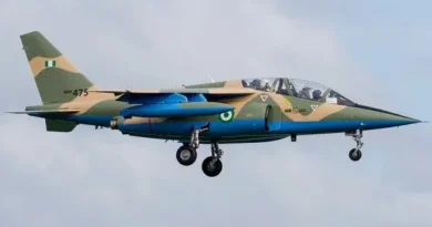 NAF strikes kill scores of terrorists, destroy enclaves in Borno