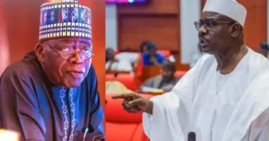 Speak directly to Nigerians, not through aides, Ndume tells Tinubu