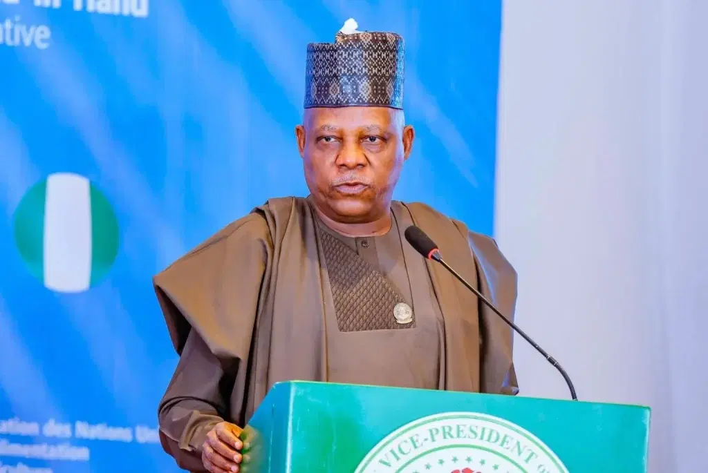 Africa must control its resources, trade – Shettima