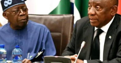 We’ve arrested over 80 perpetrators of Afrophobia — SA Envoy