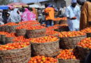 Why housewives, caterers, others are crying over rising cost of tomatoes