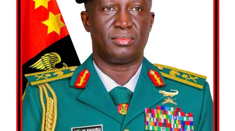 ‘We’re building a professional, combat-ready Army’ — COAS