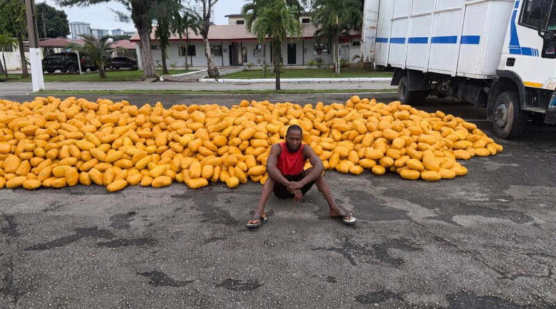 Troops intercept truck with illicit drugs along Lagos-Calabar Coastal Road