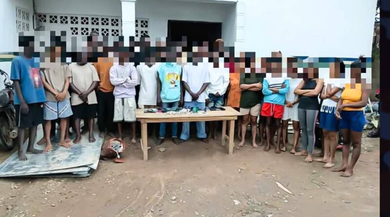 Operation Kosaye: Ogun police arrest 43 suspected criminals