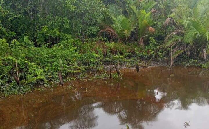Uncertainty trails Bayelsa oil spill as community counts losses