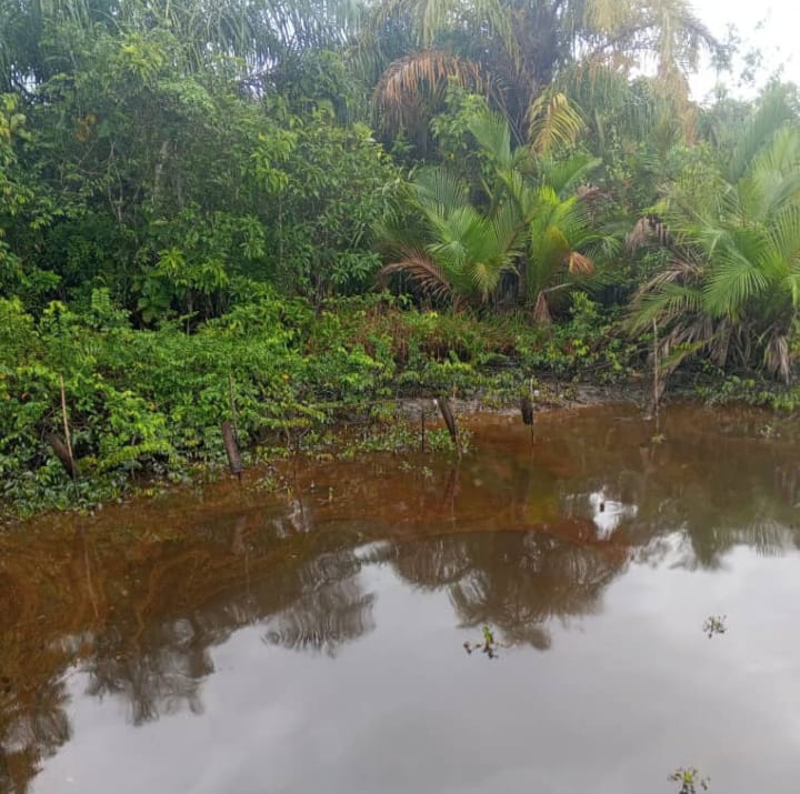 Uncertainty trails Bayelsa oil spill as community counts losses