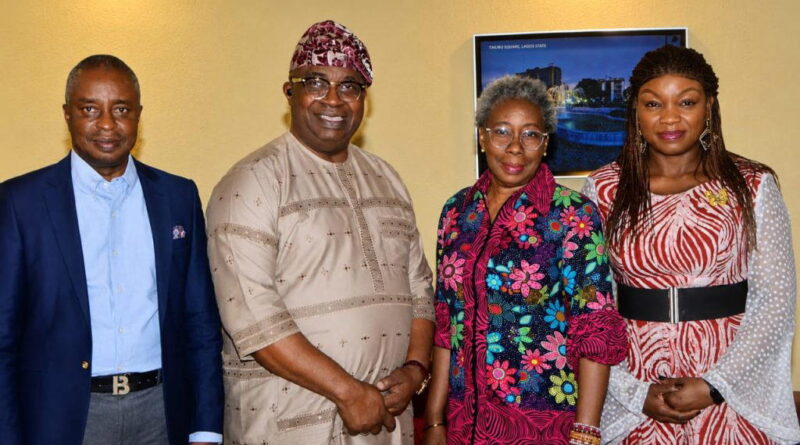 Mentoring Key to Stem Nigeria’s Brain Drain — Ogunsola