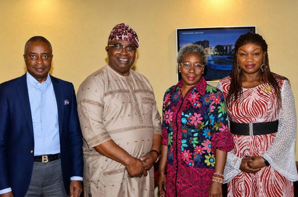 Mentoring Key to Stem Nigeria’s Brain Drain — Ogunsola