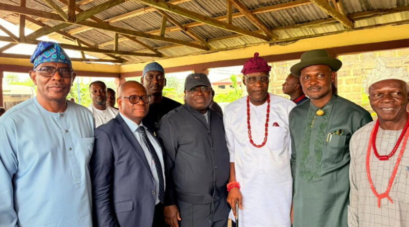 Reps seek completion of NDPHC’s 330kV transmission project