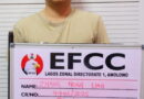 Court jails two Chinese nationals 25 years each for illegal mineral export