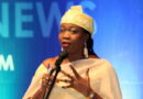 Abike Dabiri-Erewa speaks on NIDCOM’s efforts