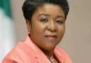 Fake agency: Head of service admits due diligence failure in recruitment waiver scandal