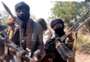 Bandits kill 23 farmers in fresh Zamfara attack