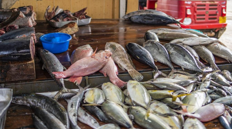 Nigeria losing jobs, forex to inconsistent fish import policy — Expert