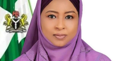 N44bn allegation: Ex-NSIPA boss insists no cash diversion