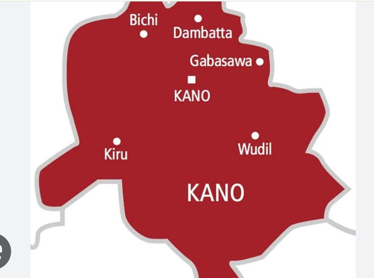Woman in police net for cutting off boyfriend’s manhood in Kano