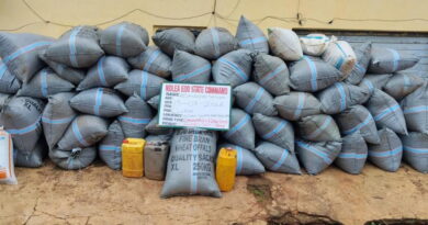 NDLEA arrest two suspects with over 1,359kg cannabis in Edo