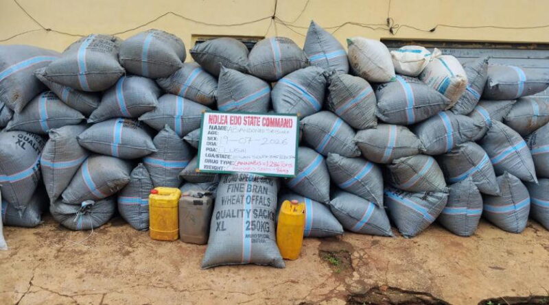 NDLEA arrest two suspects with over 1,359kg cannabis in Edo