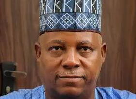 FG begins rehabilitation of roads in Borno to reopen state’s trade corridors