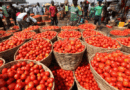 Nigeria may face rice, tomato scarcity in 3 months — OTACCWA