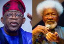 End killings, casual butchery – Wole Soyinka tasks Tinubu