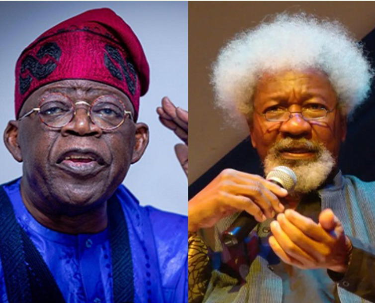End killings, casual butchery – Wole Soyinka tasks Tinubu