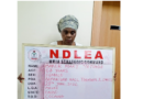 NDLEA intercepts Malaysia-bound cocaine hidden in Orijin bitters cartons
