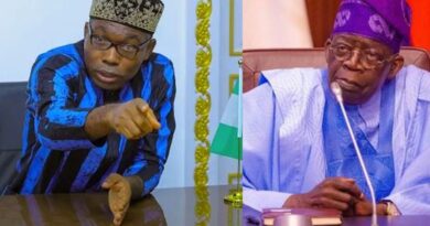 2027: SDP’s Adebayo faults Tinubu’s absence at National Peace Accord