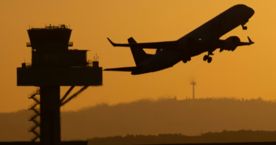 Two Frankfurt Airport workers die from malaria