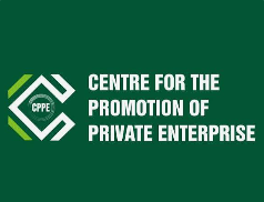 CPPE seeks development finance overhaul to bridge N50trn real sector funding gap