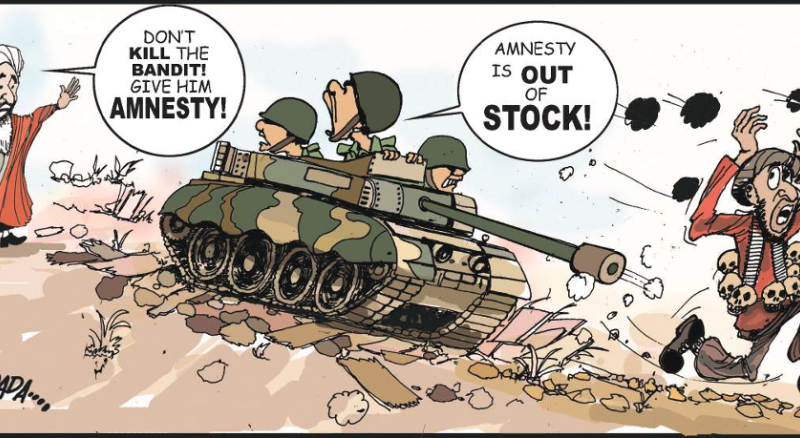 Cartoon: ‘Is amnesty the name of an animal, place or thing?’