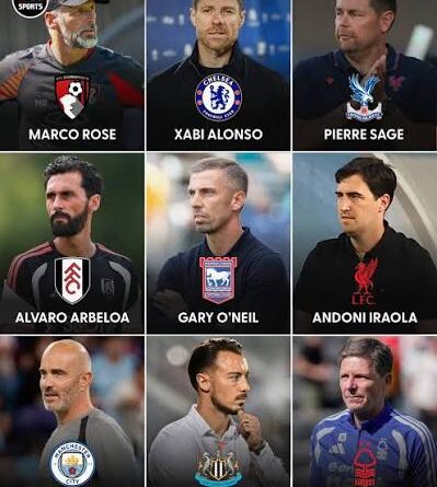 Full list: EPL to kick off with record 9 new coaches