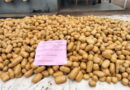 Customs seizes cannabis sativa worth N2bn in Ogun