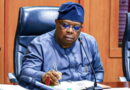 Power Minister calls for swift implementation of Nigeria-China aquatic products protocol