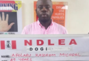 NDLEA arrests influencer over $28m cocaine shipment bound for UK