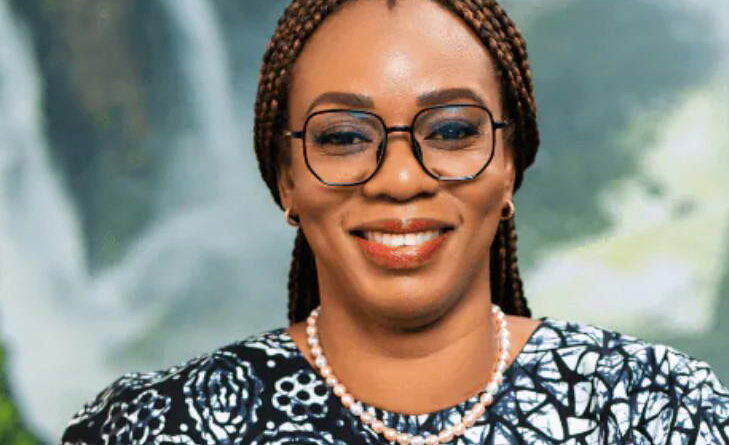 MultiChoice Nigeria clarifies ownership structure under Canal+
