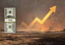 Dollar to Naira exchange rate today, August 7, 2026