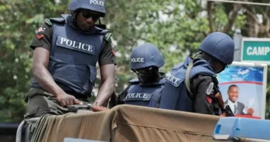 Kidnappers flee as police rescue 75 victims in Birnin Gwari