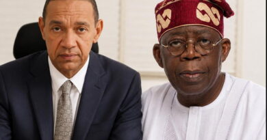 ‘Nigeria needs more mad men in your government’ – Murray-Bruce tells Tinubu