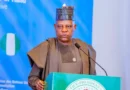 Criminals have no tribe; don’t inherit hatred, Shettima tells Plateau youths