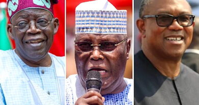 NDC, ADC in the dock: How courts could shape Nigeria’s 2027 presidential race