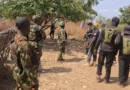 24 relatives of ISWAP terrorists surrender to troops in Borno