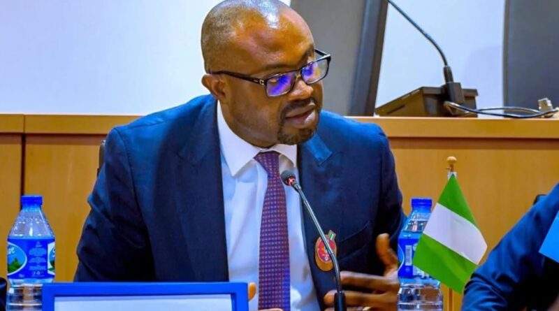 OLUBUNMI TUNJI-OJO: Beyond passport reforms